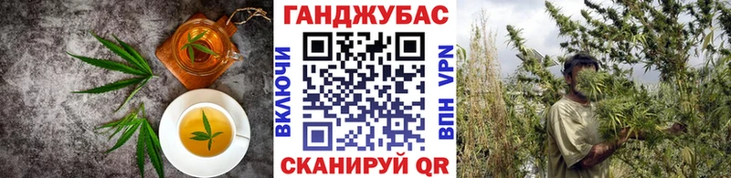 дарнет шоп  Циолковский  Canna-Cookies марихуана 