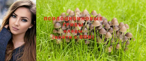 бошки Абдулино